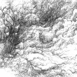Nuages