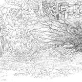 Vegetations